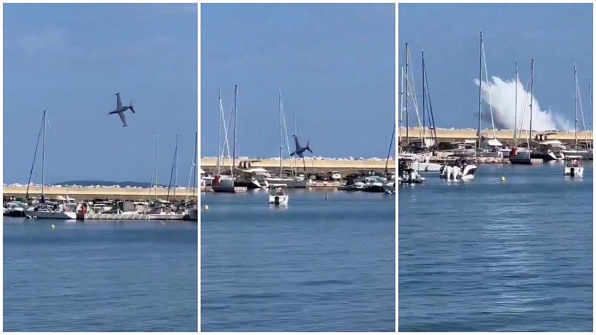 X/@MarioNawfal : Screengrabs from the video of the incident | 